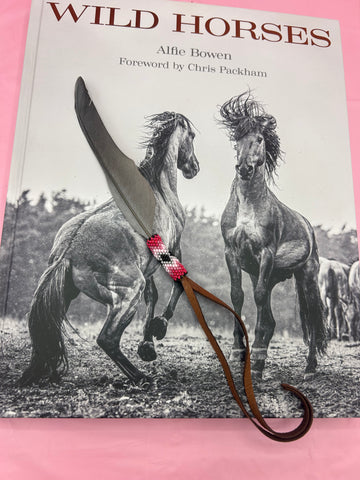 African Grey Feather