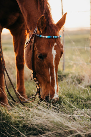Custom Beaded Browband Headstall